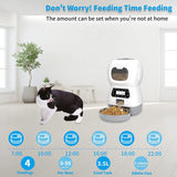 Dispenser automat hrana pisici si catei, Wistig, Inregistrare vocala 10s, Programabil, vol 3.5 L, Alb - wistig